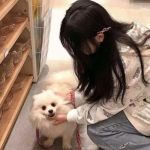 剑刃起源官方版下载